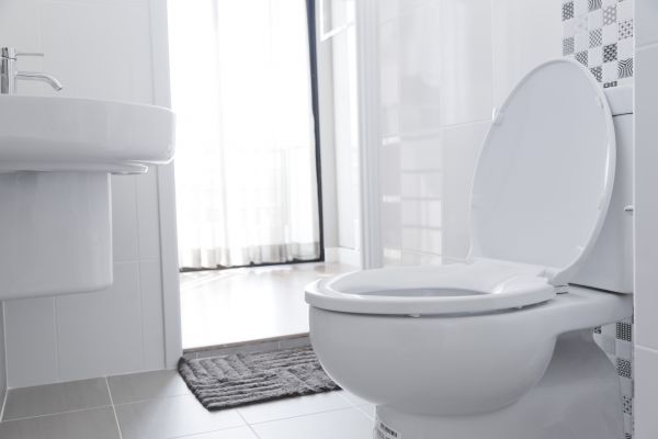 Toilet Seat Installation in Coeur D Alene