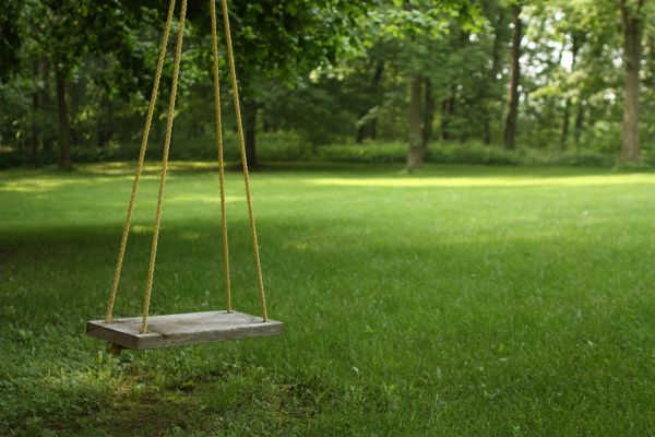 Rope Swing Installation in Coeur D Alene
