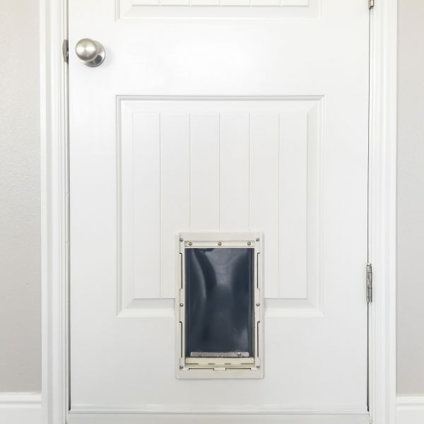 Pet Door Repair in Coeur D Alene