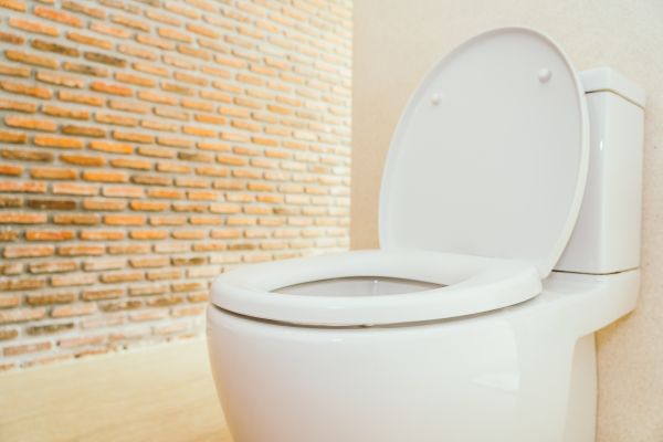Toilet Seat Repair in Coeur D Alene
